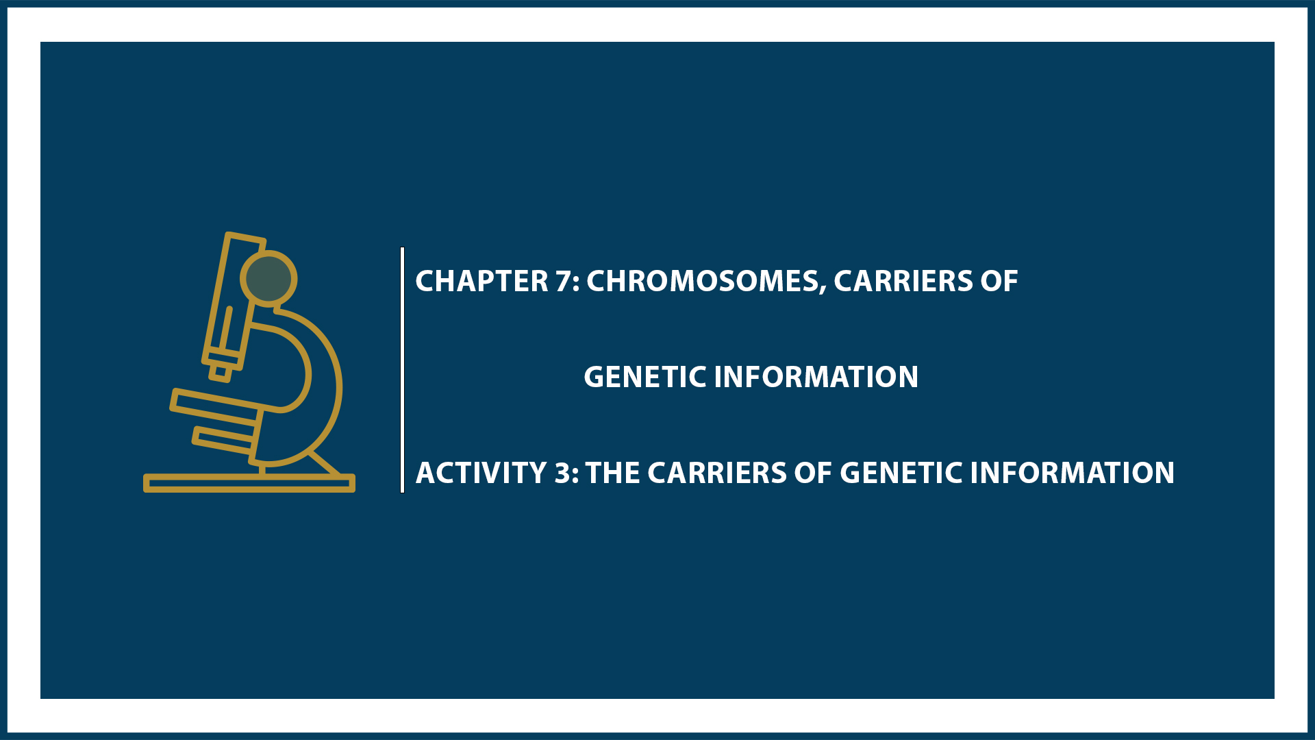 Chapter 7: Activity 3: The Carriers of Genetic Information